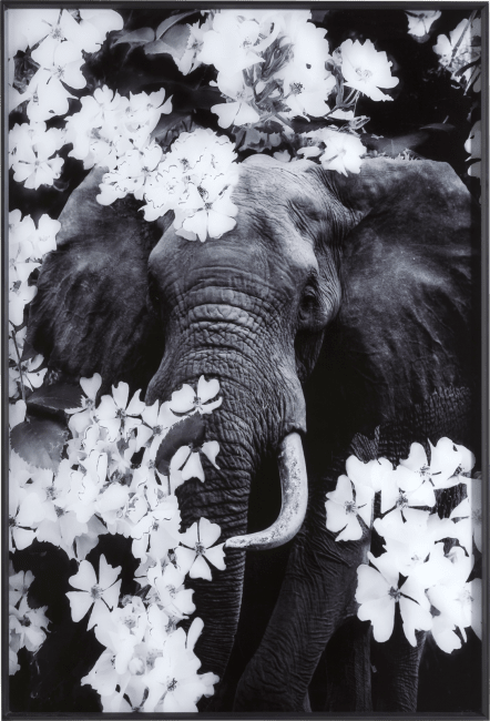 H&H - Coco Maison - Flower Elephant toile imprimee 100x68cm