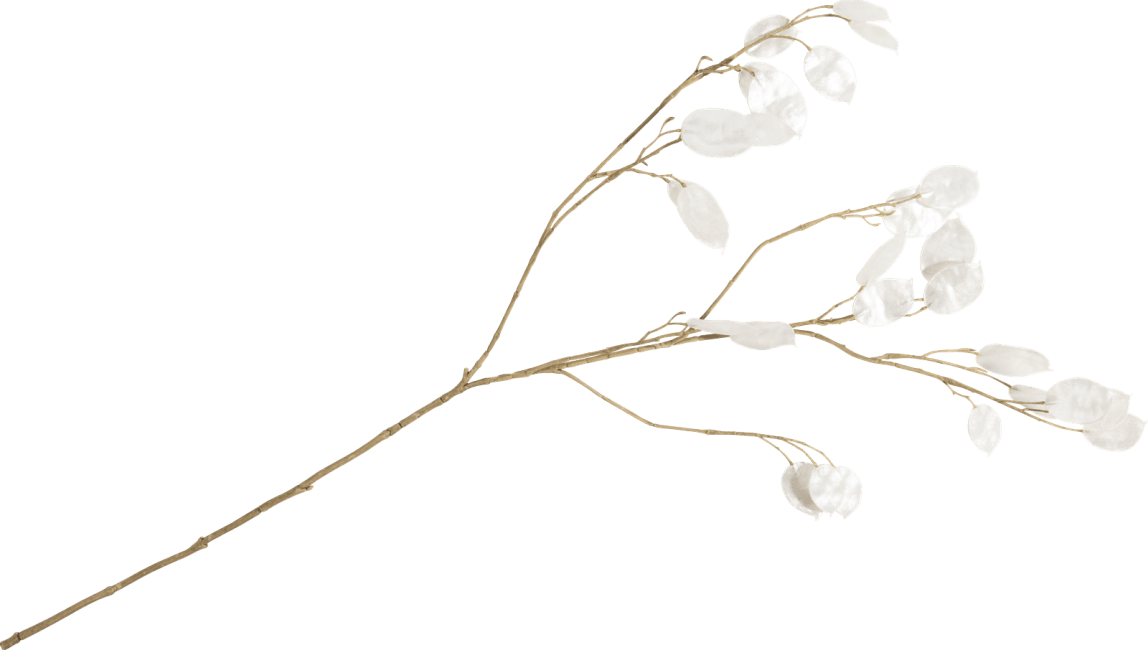 COCOmaison - Coco Maison - Landelijk - Lunaria kunstbloem H92cm
