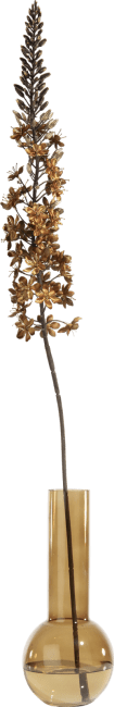 XOOON - Coco Maison - Eremurus artificial flower H105cm