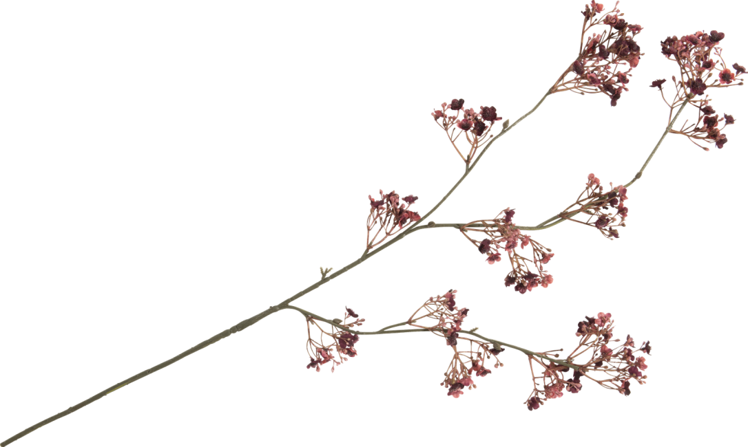 COCOmaison - Coco Maison - Authentique - Gypsophylia fleur artificielle H105cm