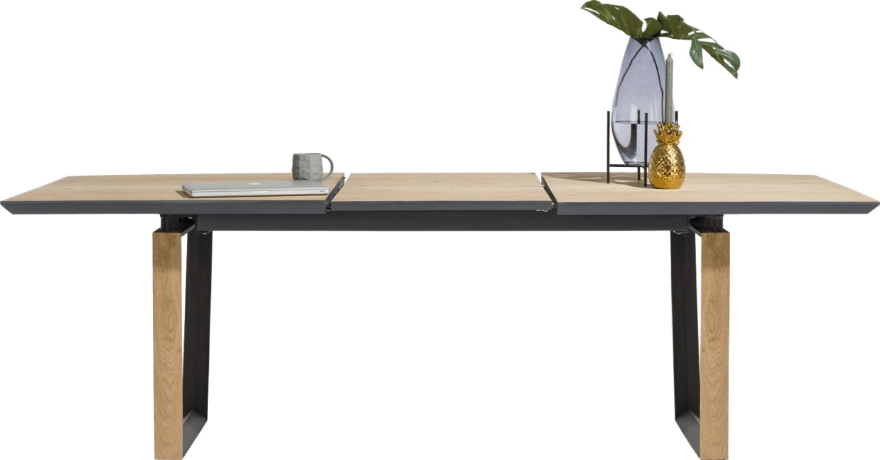 XOOON - Darwin - Minimalistisch design - uitschuiftafel 160 (+ 60) x 100 cm