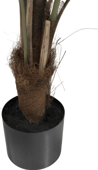 COCOmaison - Coco Maison - Authentique - Palm Fishtail plante artificielle H135cm