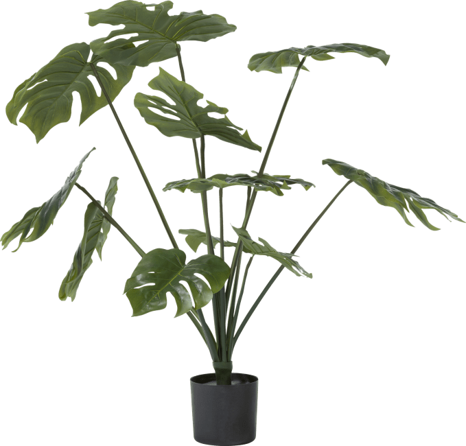 XOOON - Coco Maison - Monstera artificial plant H80cm