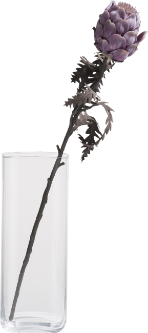 COCOmaison - Coco Maison - Landelijk - Protea spray H63cm