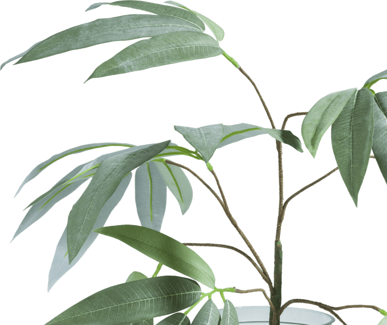 XOOON - Coco Maison - Eucalyptus branch H95cm