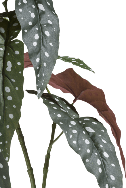 COCO maison - Coco Maison - Begonia Maculata Spray fleur artificielle H90cm