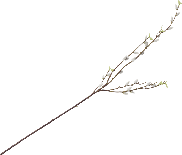 XOOON - Coco Maison - Pussy Willow Spray artificial flower H95cm