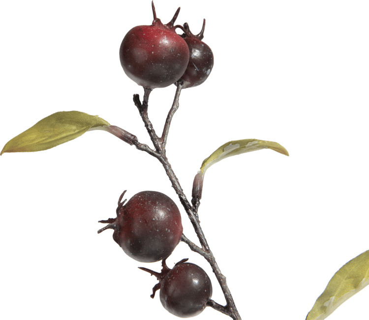 COCOmaison - Coco Maison - Authentique - Cornus Berry fleur artificielle H100cm