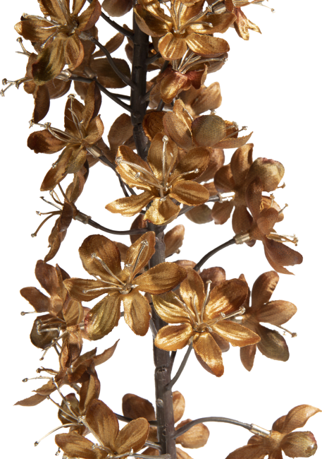 COCOmaison - Coco Maison - Authentique - Eremurus fleur artificielle H105cm