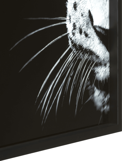 COCOmaison - Coco Maison - Modern - Cheetah fotoschilderij 70x100cm