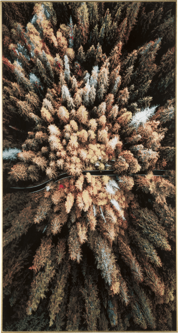 COCOmaison - Coco Maison - Authentique - Pine Woods cadre 80x150cm