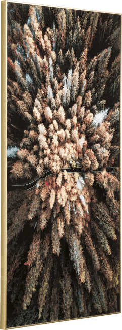 COCOmaison - Coco Maison - Landelijk - Pine Woods fotoschilderij 80x150cm