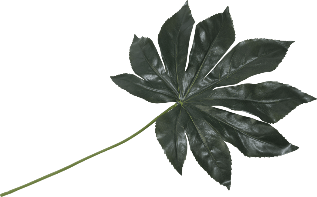 COCO maison - Coco Maison - Fatsia Leaf Kunstblume H55cm
