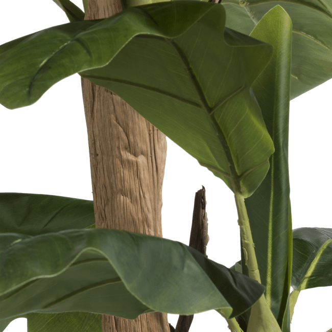 COCO maison - Coco Maison - Banana Tree Kunstpflanze H140cm