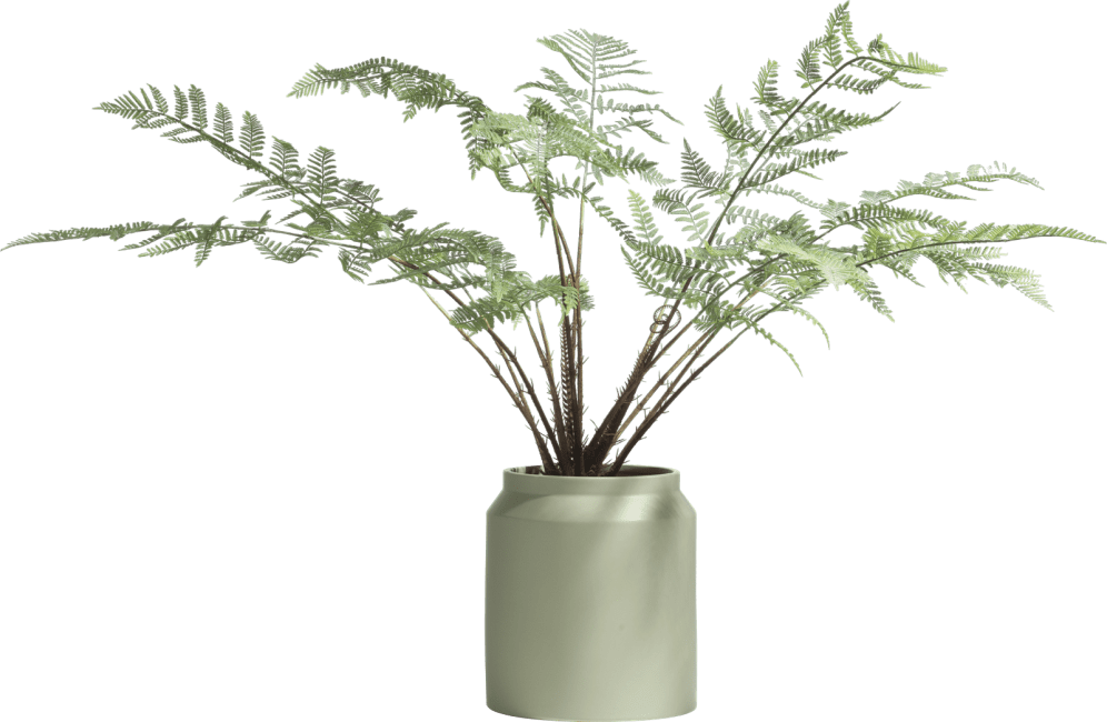 COCO maison - Coco Maison - Fern plante artificielle H100cm