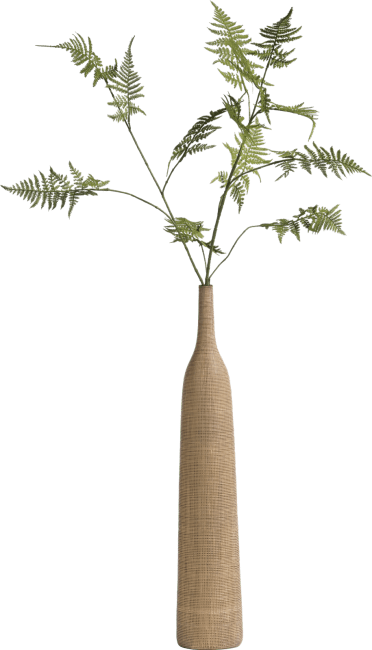 COCO maison - Coco Maison - Asparagus Spray fleur artificielle H135cm