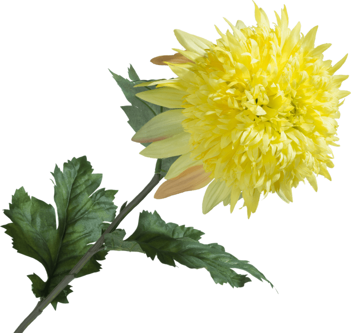 COCOmaison - Coco Maison - Chrysanthemum H75cm