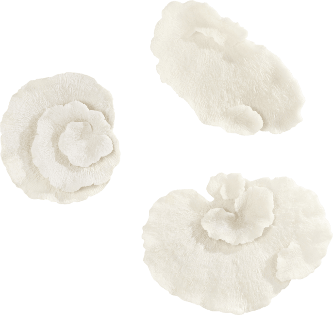 XOOON - Coco Maison - Coral set of 3 wall deco