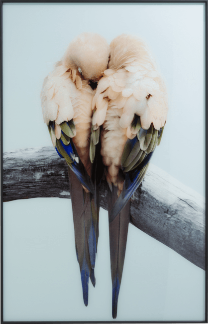 COCOmaison - Coco Maison - Landelijk - Lovebirds fotoschilderij 140x90cm