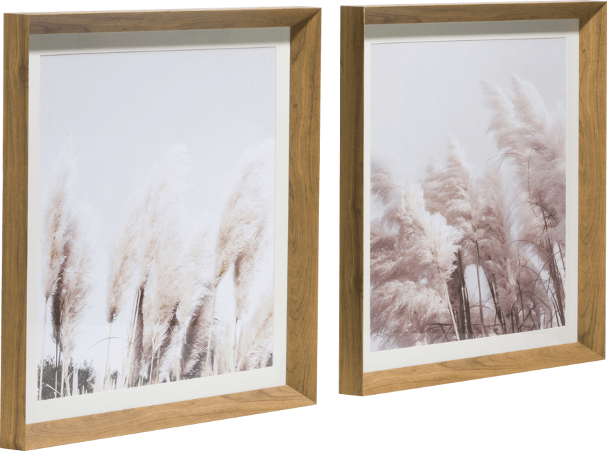 XOOON - Coco Maison - Pampas set of 2 photo prints 50x50cm
