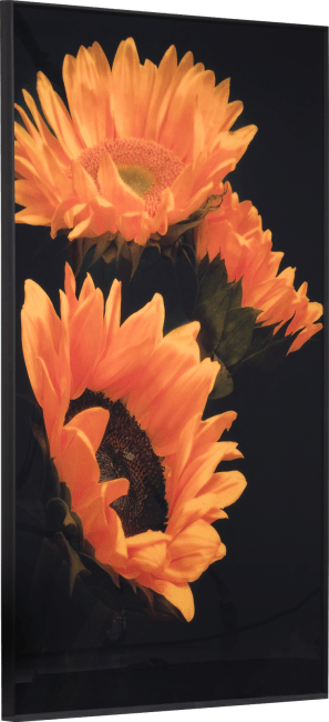 COCOmaison - Coco Maison - Vintage - Sunflower Bild 90x140cm