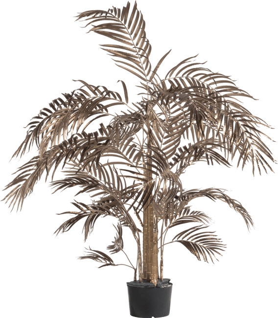 COCOmaison - Coco Maison - Rustikal - Areca Palm Kunstpflanze H145cm