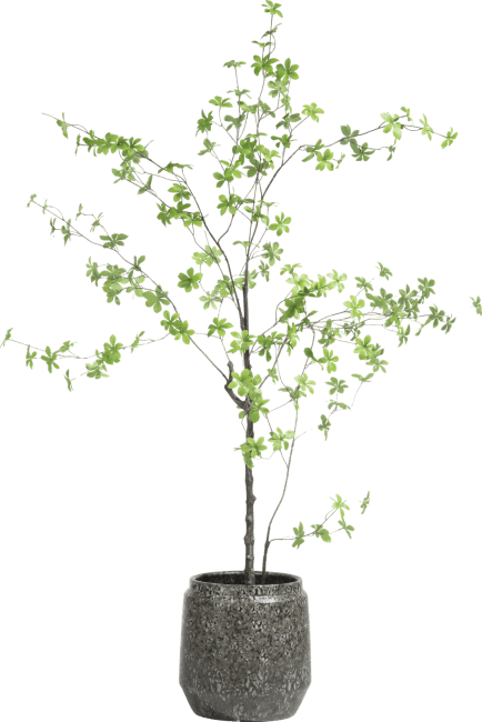 COCOmaison - Coco Maison - Authentique - Tropaeolum plante artificielle H150cm