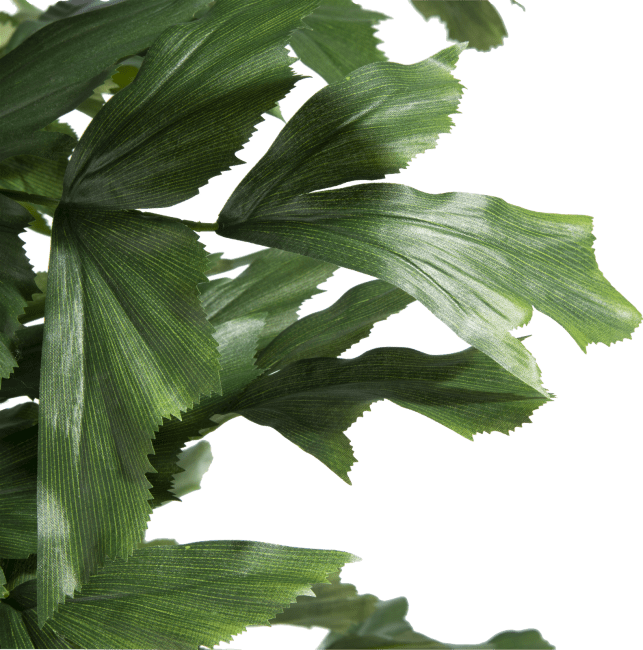 COCOmaison - Coco Maison - Authentique - Palm Fishtail plante artificielle H155cm
