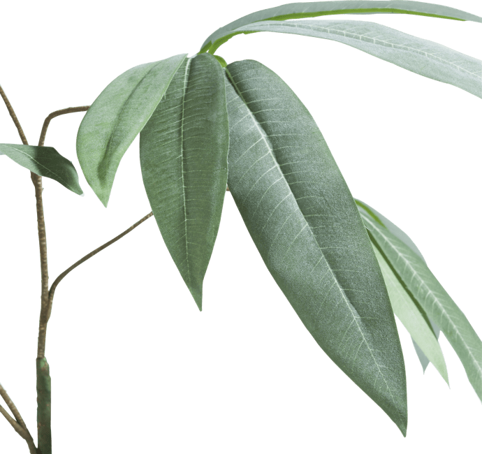 COCOmaison - Coco Maison - Eucalyptus branch H95cm