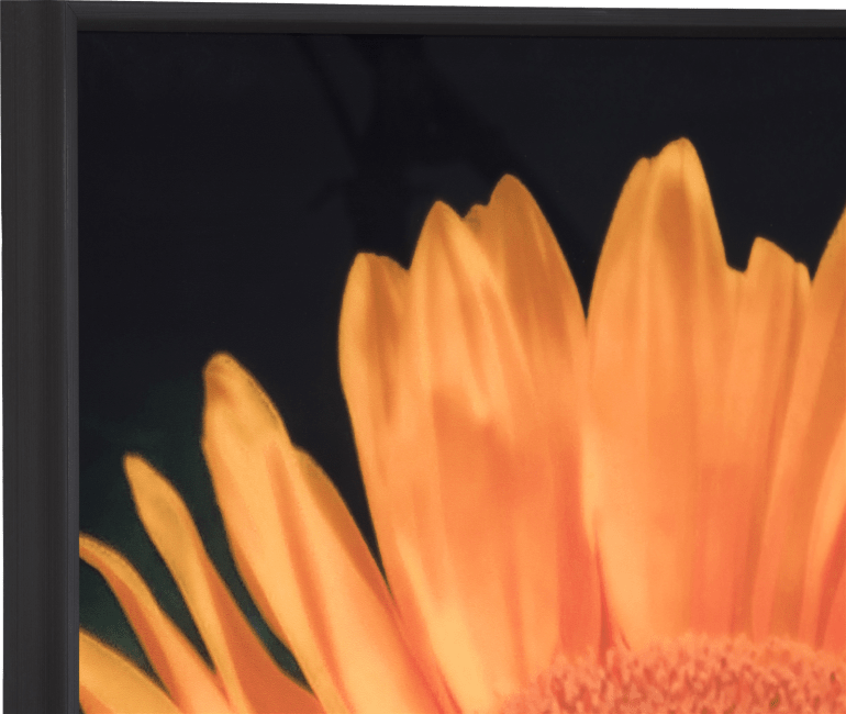 COCOmaison - Coco Maison - Vintage - Sunflower Bild 90x140cm
