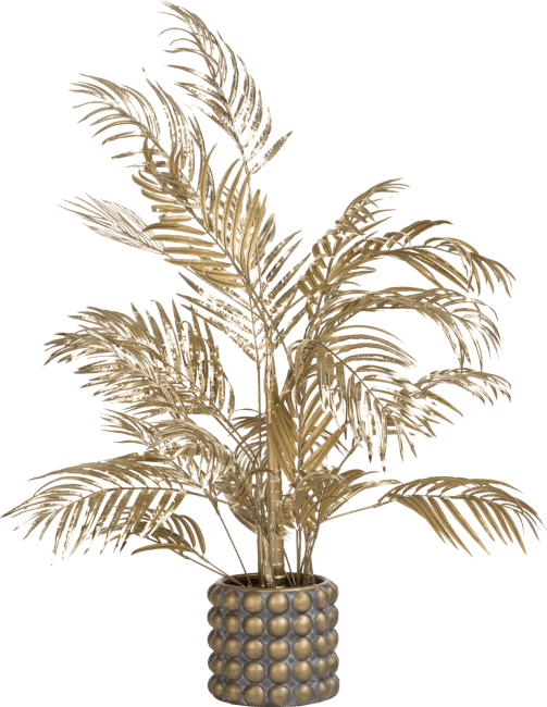 COCOmaison - Coco Maison - Vintage - Areca palm plant H105cm