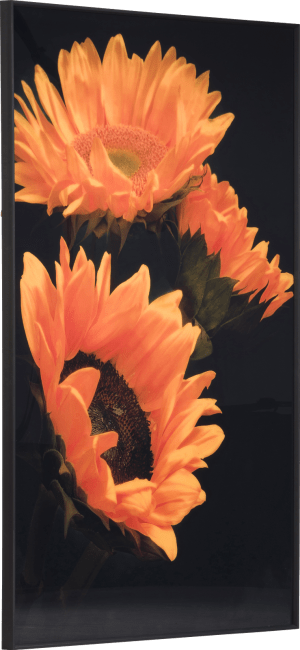 XOOON - Coco Maison - Sunflower print 90x140cm
