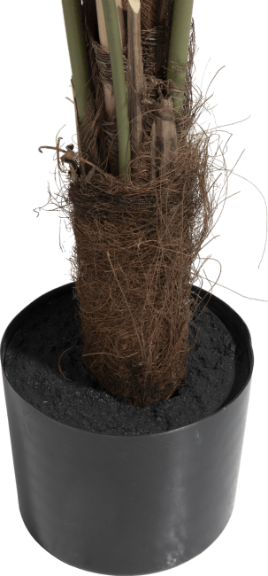 COCOmaison - Coco Maison - Landelijk - Palm Fishtail kunstplant H155cm