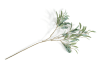 Henders & Hazel - COCOmaison - Olive Leaf Spray H82cm fleur artificielle