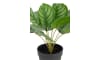Henders & Hazel - COCOmaison - Calathea Orbifolia H45cm plante artificielle