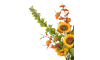 Henders & Hazel - COCOmaison - Molucella Spray H105cm Kunstblume