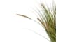 XOOON - COCOmaison - Pennisetum Grass plant H99cm