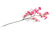 Henders & Hazel - COCOmaison - Cherry blossom spray H120cm
