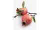 Henders & Hazel - COCOmaison - Pomegranate Kunstblume H82cm