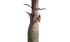 Henders & Hazel - COCOmaison - Alocasia Giant Tree H180cm Kunstpflanze