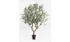 Henders & Hazel - COCOmaison - Eucalyptus Tree Kunstpflanze H240cm