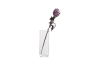 XOOON - COCOmaison - Protea Spray H63cm