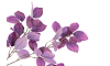 Henders & Hazel - COCOmaison - Beech Leaves Spray H95cm Kunstblume