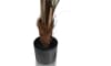 XOOON - COCOmaison - Palm Fishtail plante artificielle H135cm