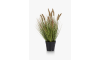 Henders and Hazel - COCOmaison - Pennisetum Grass plant H58cm