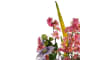 Henders & Hazel - COCOmaison - Cherry blossom spray H120cm