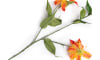 Henders and Hazel - COCOmaison - Gloriosa Spray kunstbloem H90cm