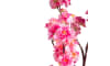 Henders & Hazel - COCOmaison - Cherry blossom spray H120cm