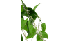 Henders & Hazel - COCOmaison - Philodendron Scandens H80cm Kunstpflanze