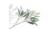 Henders & Hazel - COCOmaison - Olive Leaf Spray H82cm fleur artificielle